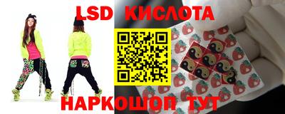 Альфа ПВП Кингисепп