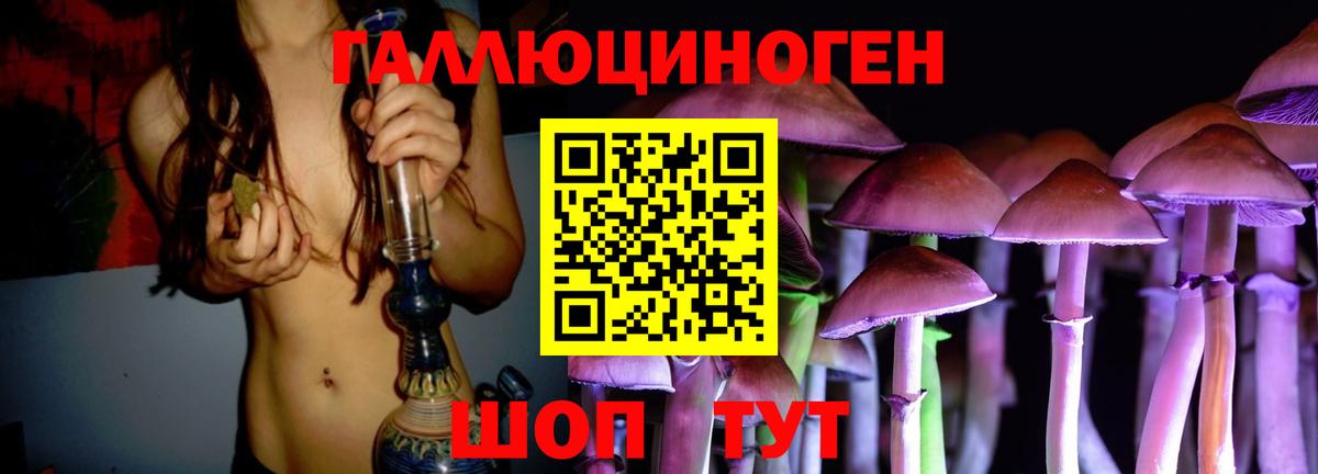 Псилоцибиновые грибы Psilocybine cubensis  Вход с VPN  Кировск  Псилоцибиновые грибы MAGIC MUSHROOMS 